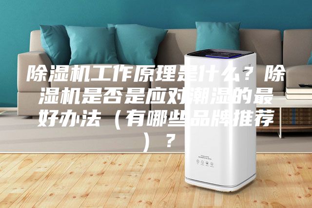 除湿机工作原理是什么？除湿机是否是应对潮湿的最好办法（有哪些品牌推荐）？