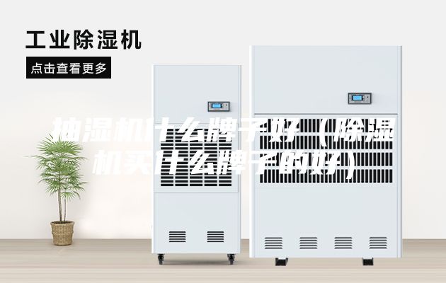 抽湿机什么牌子好（除湿机买什么牌子的好）