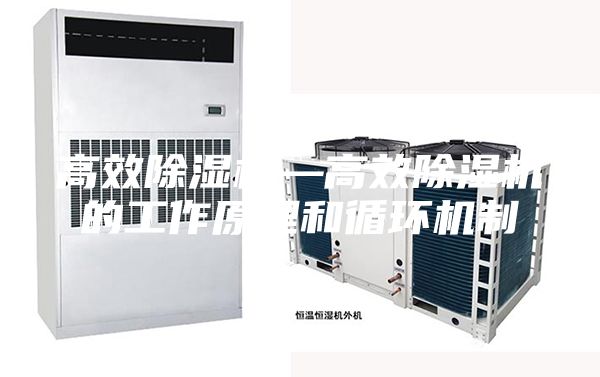 高效除湿机—高效除湿机的工作原理和循环机制
