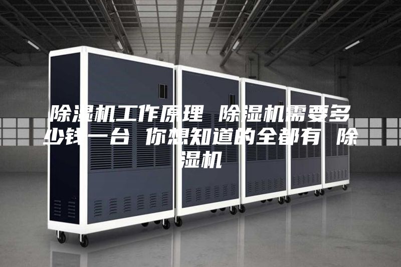 除湿机工作原理 除湿机需要多少钱一台 你想知道的全都有 除湿机