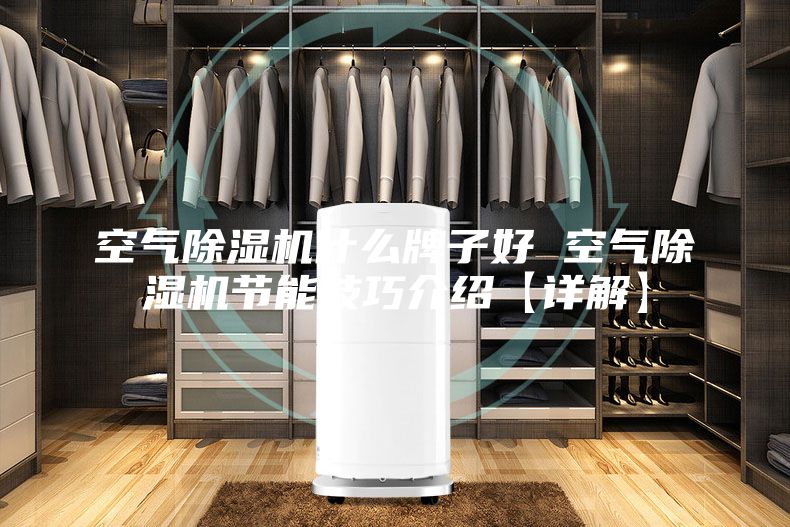 空气除湿机什么牌子好 空气除湿机节能技巧介绍【详解】