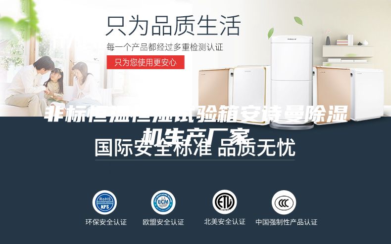 非标恒温恒湿试验箱安诗曼除湿机生产厂家