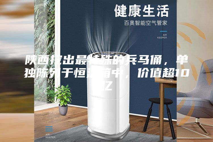 陕西挖出最特殊的兵马俑，单独陈列于恒温箱中，价值超10亿