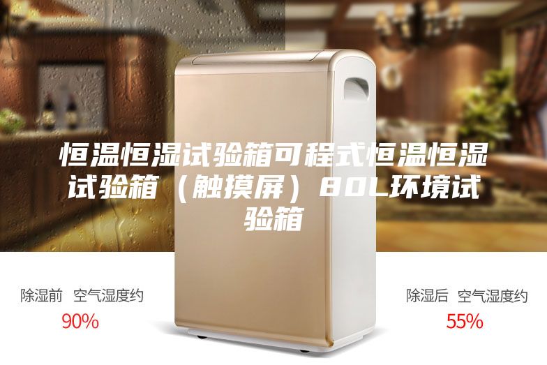 恒温恒湿试验箱可程式恒温恒湿试验箱（触摸屏）80L环境试验箱