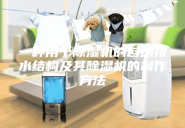 一种用于除湿机的自动排水结构及其除湿机的制作方法