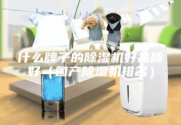 什么牌子的除湿机好品质好（国产除湿机排名）