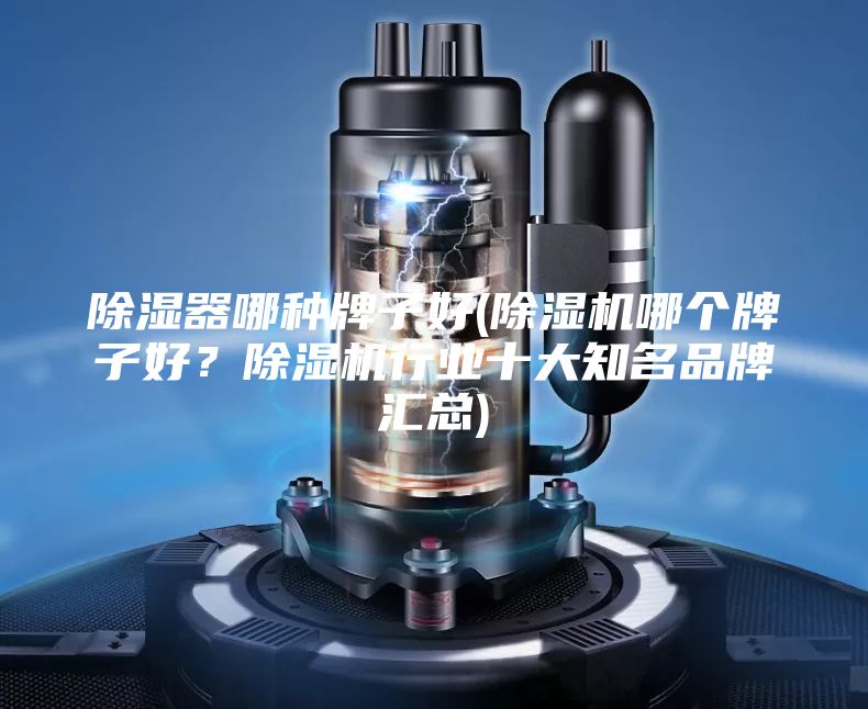 除湿器哪种牌子好(除湿机哪个牌子好？除湿机行业十大知名品牌汇总)