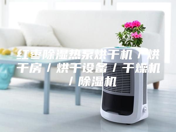 红枣除湿热泵烘干机／烘干房／烘干设备／干燥机／除湿机