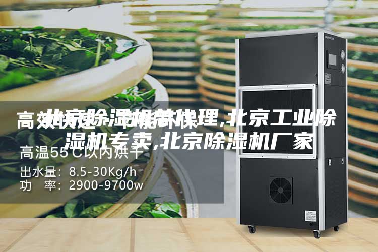 北京除湿机总代理,北京工业除湿机专卖,北京除湿机厂家