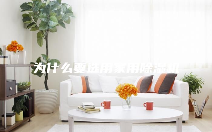 为什么要选用家用除湿机