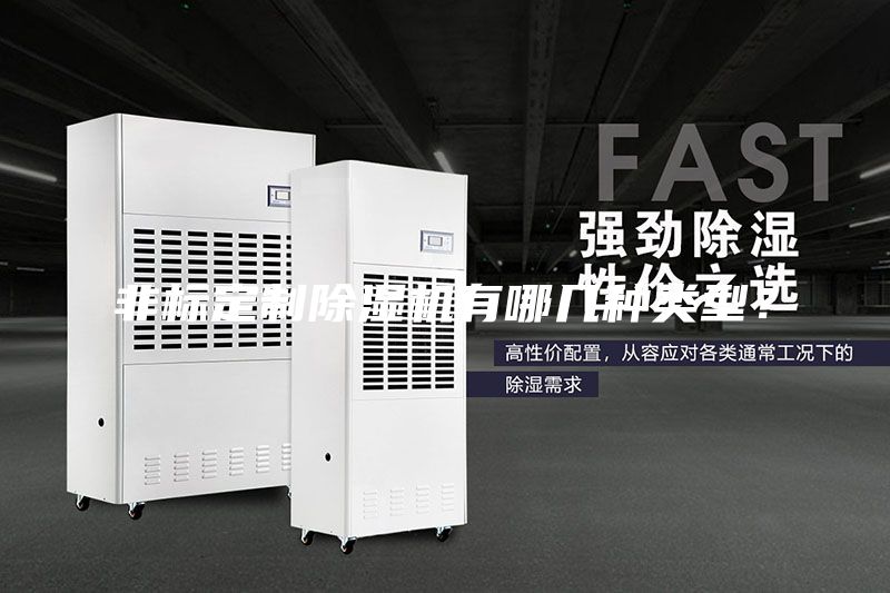 非标定制除湿机有哪几种类型？