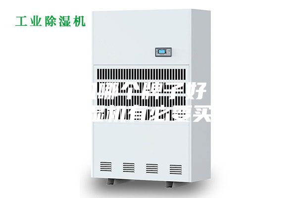 除湿机哪个牌子好 家用除湿机有必要买吗