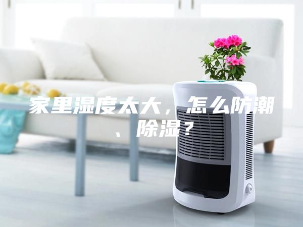 家里湿度太大，怎么防潮、除湿？