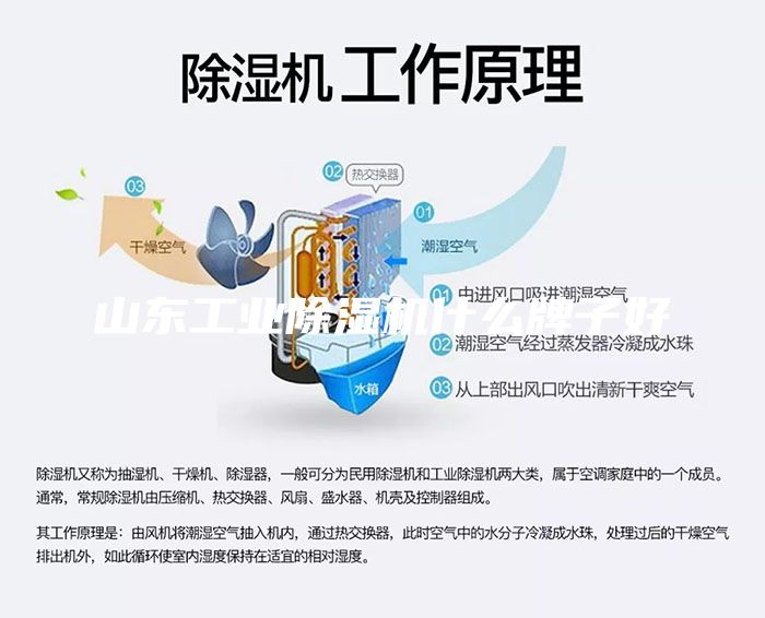 山东工业除湿机什么牌子好