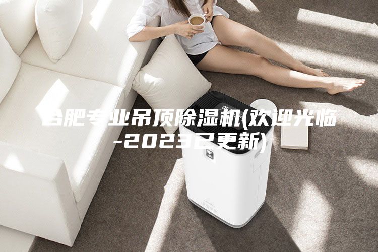 合肥专业吊顶除湿机(欢迎光临-2023已更新)