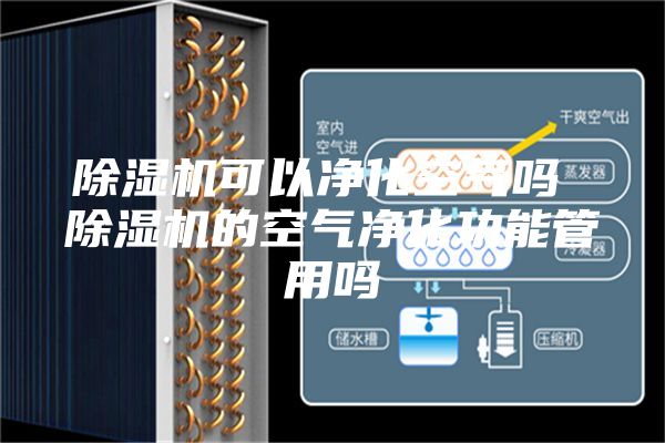 除湿机可以净化空气吗 除湿机的空气净化功能管用吗