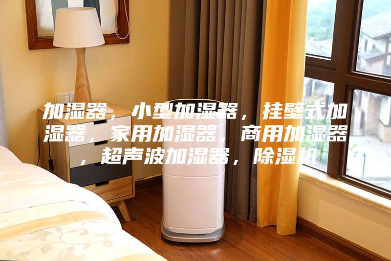 加湿器，小型加湿器，挂壁式加湿器，家用加湿器，商用加湿器，超声波加湿器，除湿机
