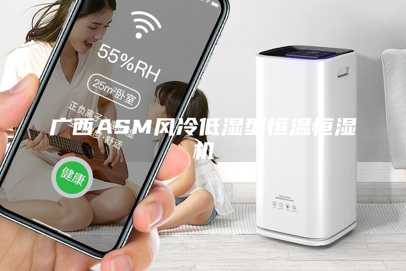 广西ASM风冷低湿型恒温恒湿机