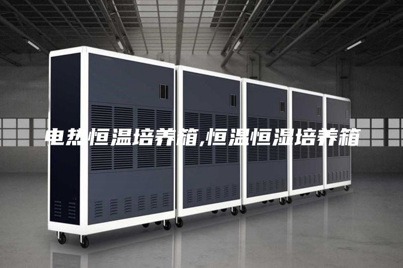 电热恒温培养箱,恒温恒湿培养箱