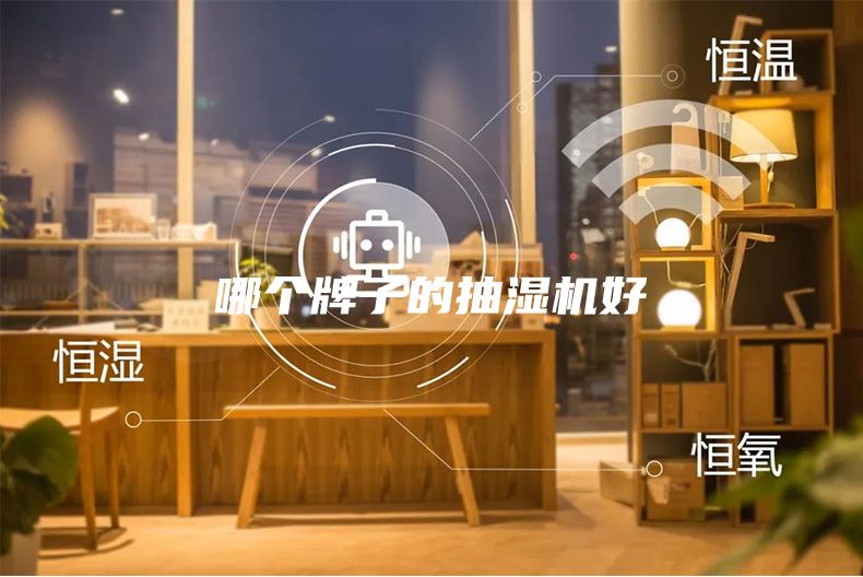 哪个牌子的抽湿机好