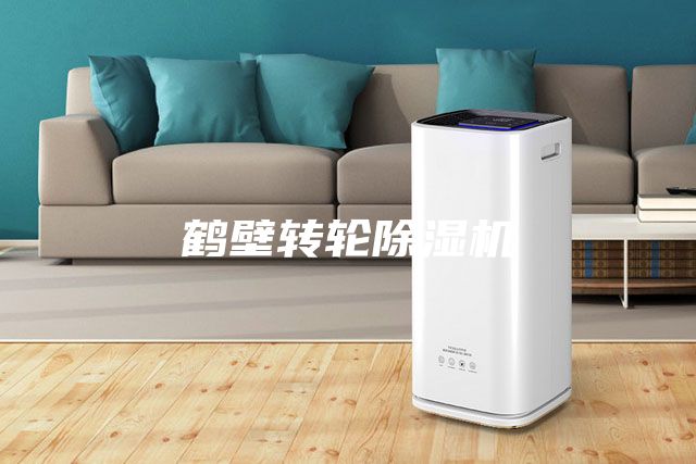 鹤壁转轮除湿机