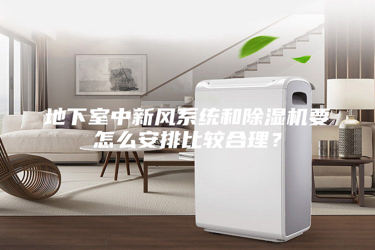 地下室中新风系统和除湿机要怎么安排比较合理？
