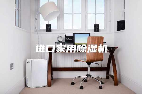 进口家用除湿机
