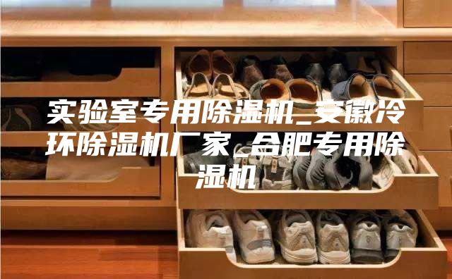 实验室专用除湿机_安徽冷环除湿机厂家_合肥专用除湿机