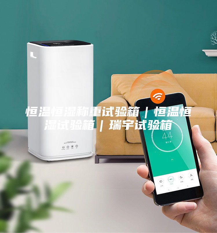 恒温恒湿称重试验箱｜恒温恒湿试验箱｜瑞宇试验箱