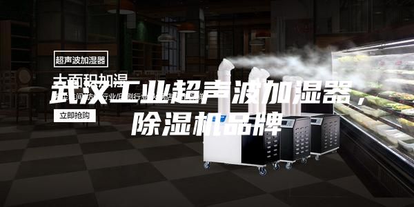 武汉工业超声波加湿器，除湿机品牌