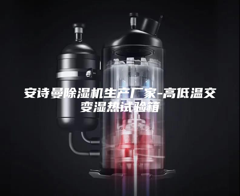 安诗曼除湿机生产厂家-高低温交变湿热试验箱