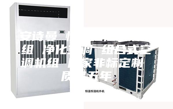 安诗曼 恒温恒湿空调机组 净化空调 组合式空调机组 厂家非标定制 质保五年