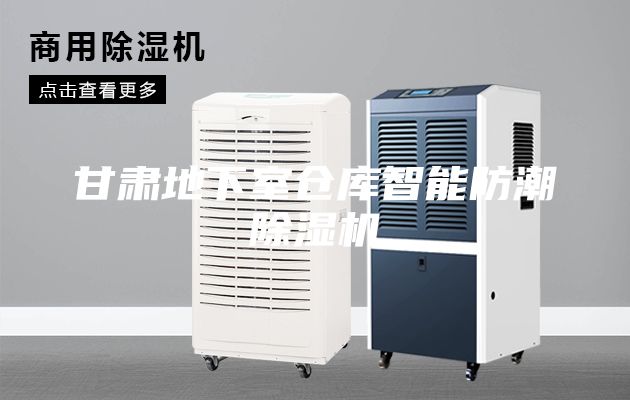 甘肃地下室仓库智能防潮除湿机