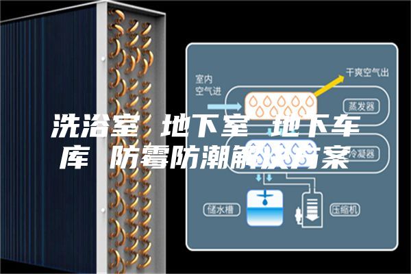 洗浴室 地下室 地下车库 防霉防潮解决方案