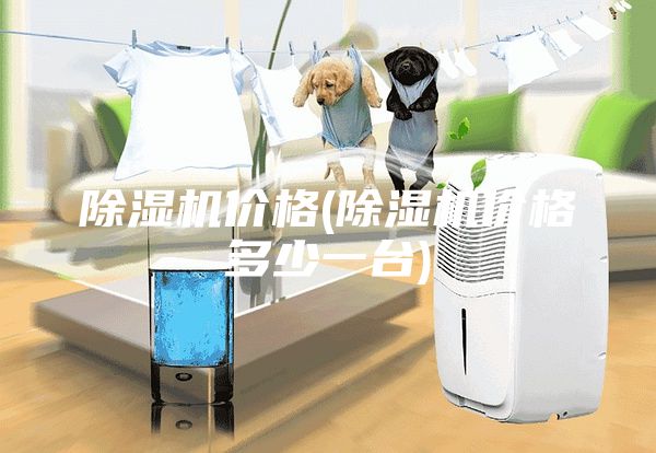 除湿机价格(除湿机价格多少一台)