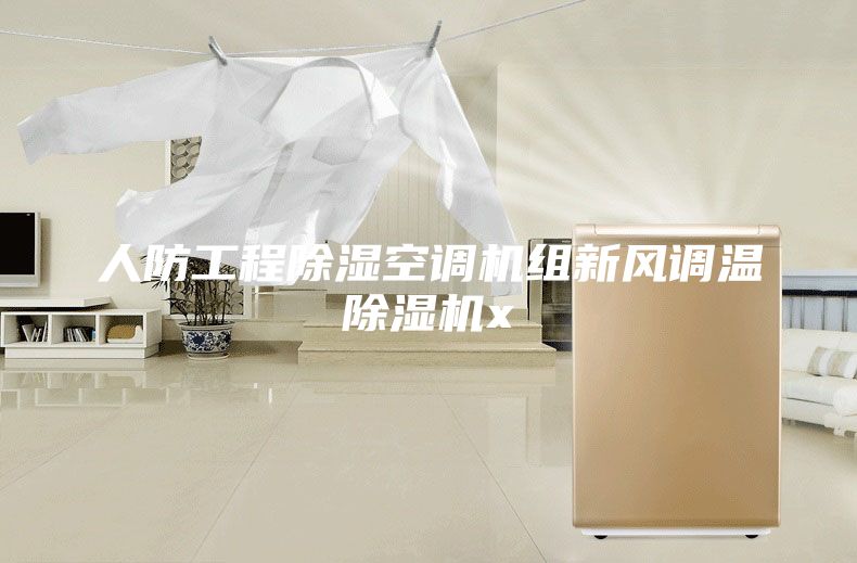 人防工程除湿空调机组新风调温除湿机x