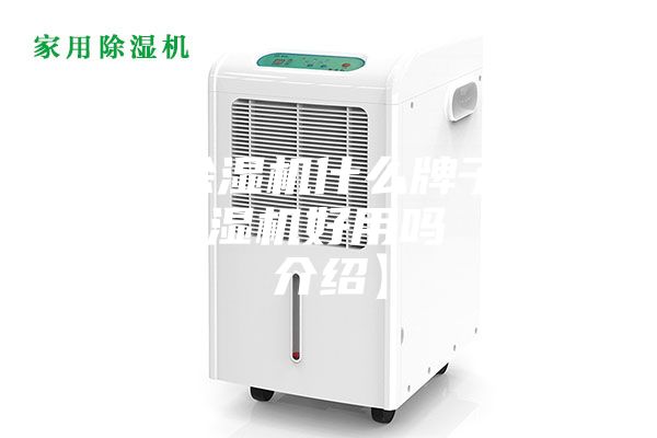 小型除湿机什么牌子好 小型除湿机好用吗【详细介绍】