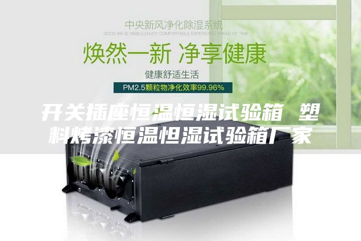 开关插座恒温恒湿试验箱 塑料烤漆恒温怛湿试验箱厂家