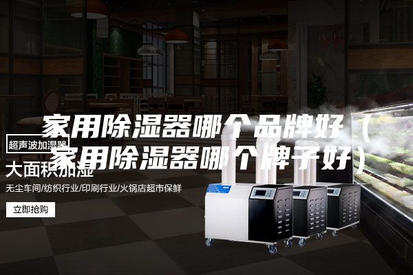 家用除湿器哪个品牌好（家用除湿器哪个牌子好）