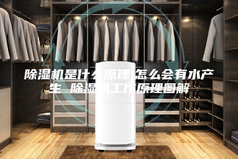 除湿机是什么原理,怎么会有水产生 除湿机工作原理图解