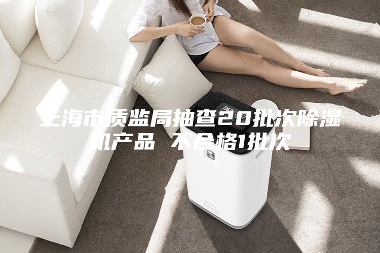 上海市质监局抽查20批次除湿机产品 不合格1批次
