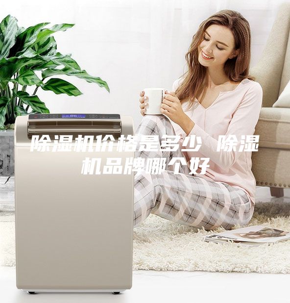 除湿机价格是多少 除湿机品牌哪个好