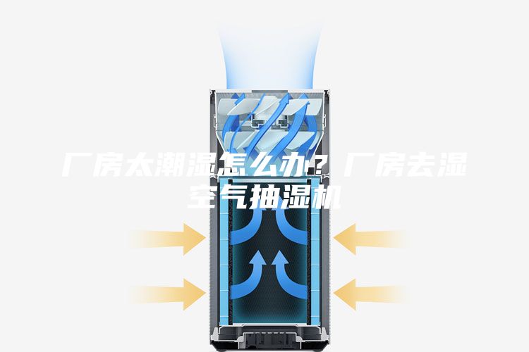 厂房太潮湿怎么办？厂房去湿空气抽湿机