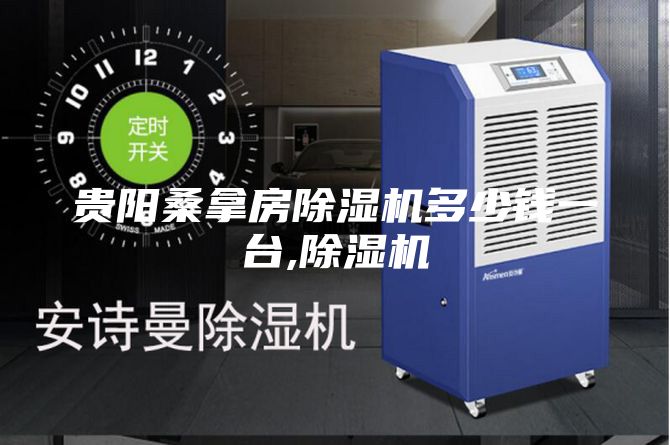贵阳桑拿房除湿机多少钱一台,除湿机