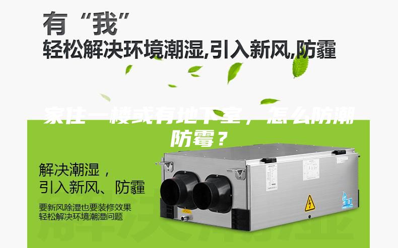 家住一楼或有地下室，怎么防潮防霉？