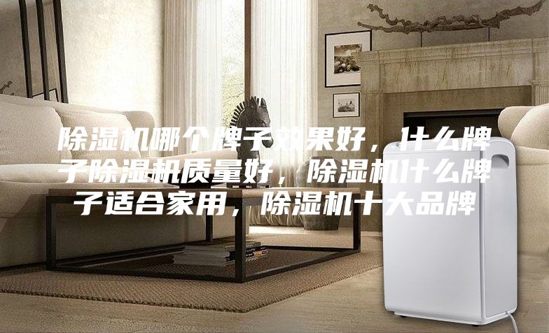 除湿机哪个牌子效果好，什么牌子除湿机质量好，除湿机什么牌子适合家用，除湿机十大品牌