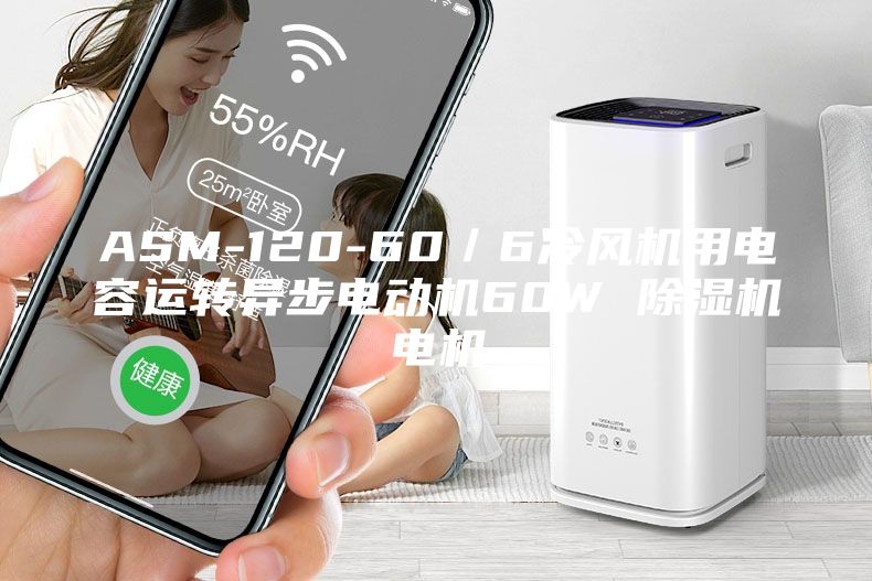ASM-120-60/6冷风机用电容运转异步电动机60W 除湿机电机