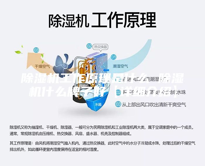除湿机工作原理是什么 除湿机什么牌子好【详细介绍】