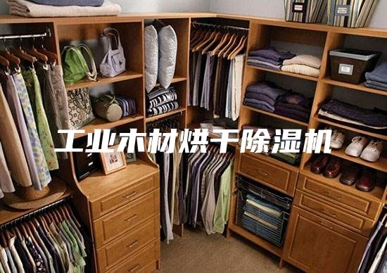 工业木材烘干除湿机