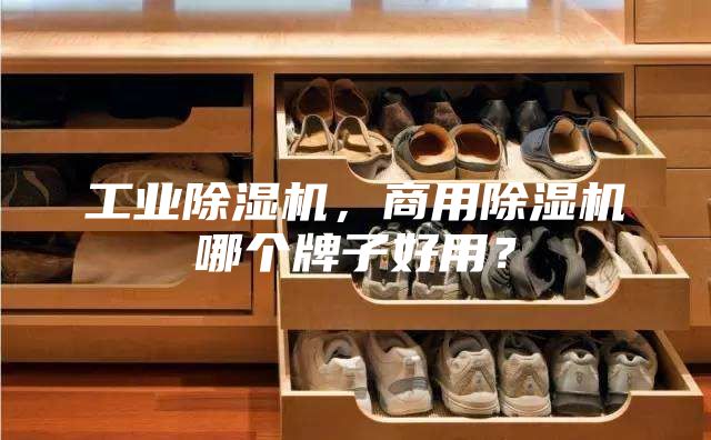 工业除湿机，商用除湿机哪个牌子好用？